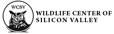Wildlife Center of Silicon Valley Logo